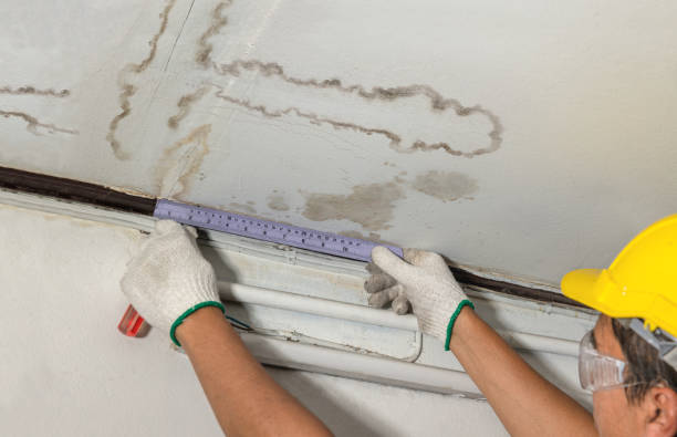 Reliable Mold Remediation contractor in D Hanis, TX by Water Damage Irwin
